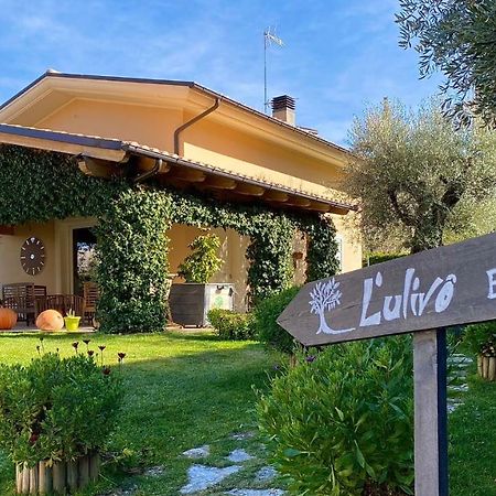 L' Ulivo Bed & Breakfast Терамо Екстериор снимка