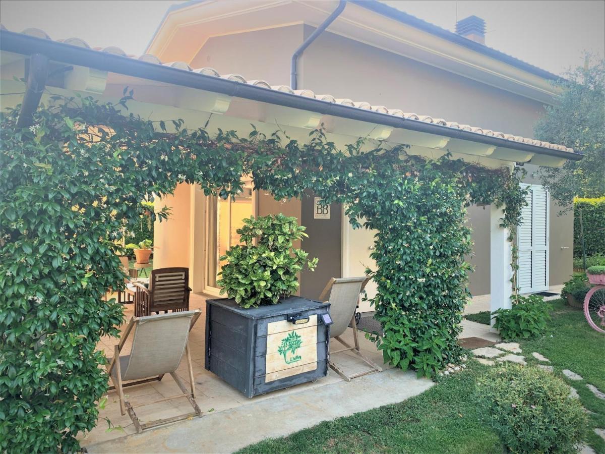 L' Ulivo Bed & Breakfast Терамо Екстериор снимка